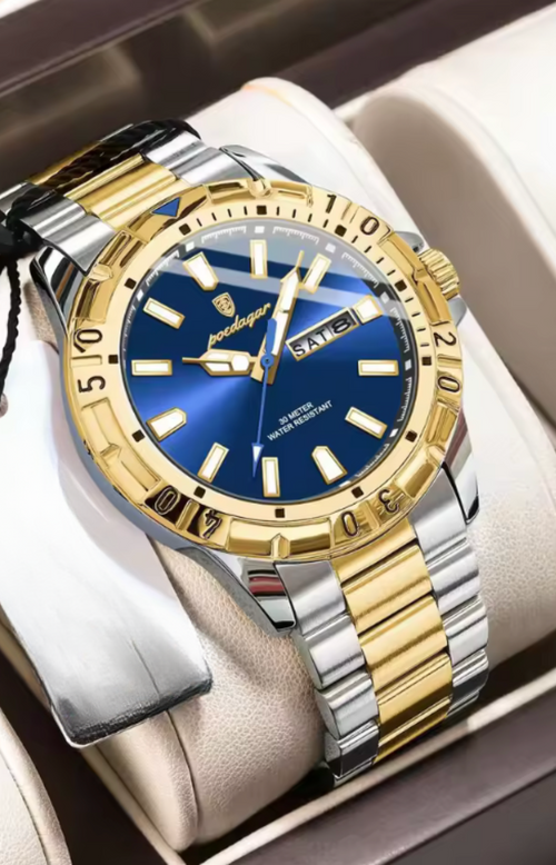 Aegis WeekMaster – Men’s Military Quartz Watch, 5 ATM Waterproof with Luminous Hands, Date & Week Display, Stainless-Steel Strap