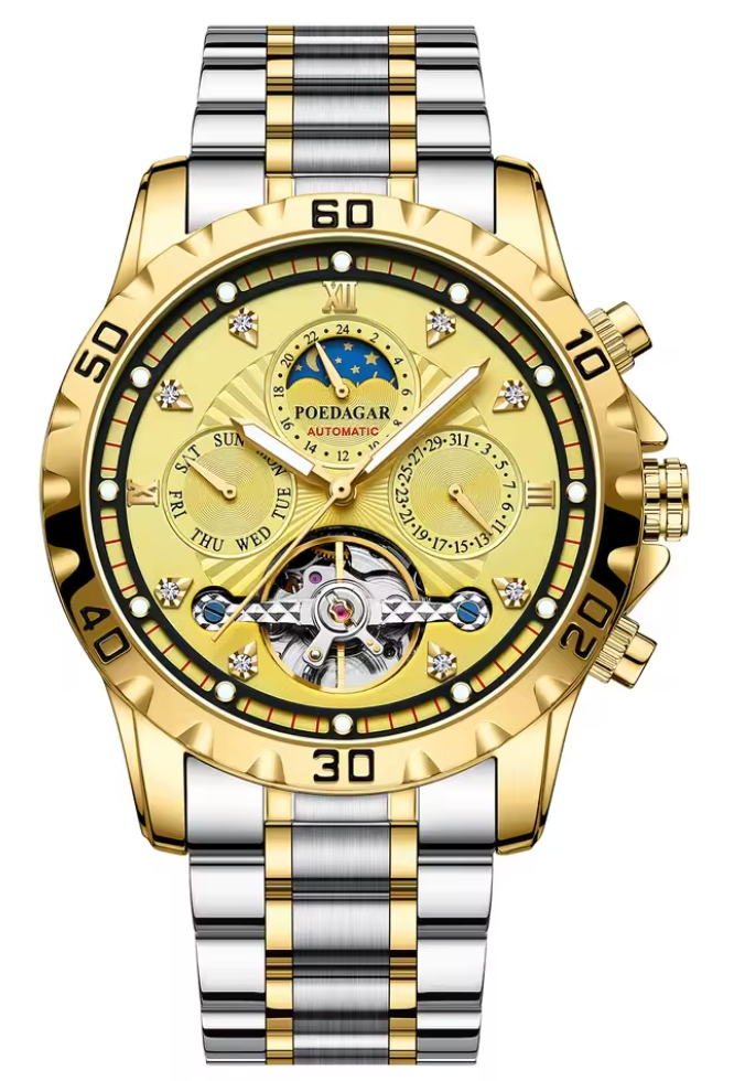 Titan Chrono X - CylaLuxe Luxury Men's Chronograph Watch Gold & Silver