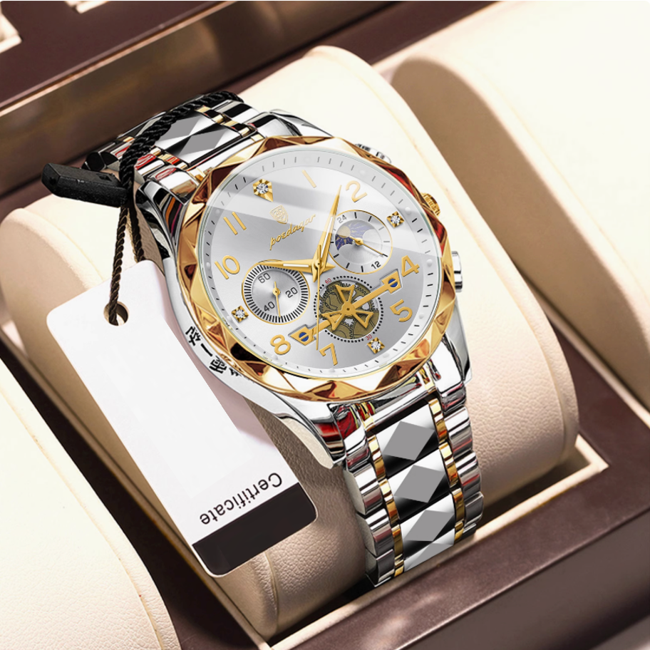 Aeterna Tempus - CylaLuxe Luxury Men's Automatic Watch Gold & Silver